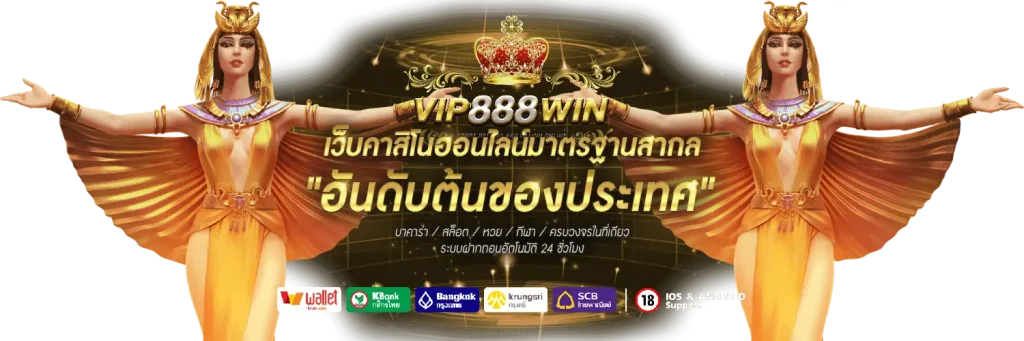 vip888win