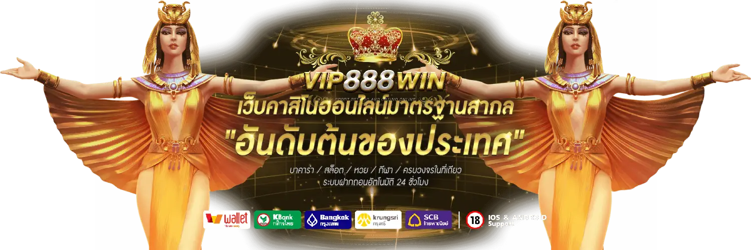 vip888win